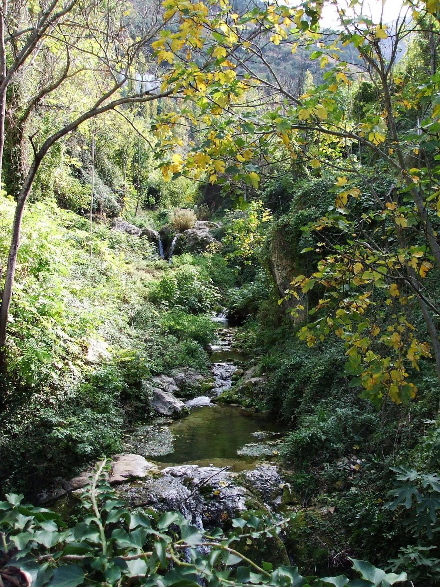 Pena Del Rey Cazorla
